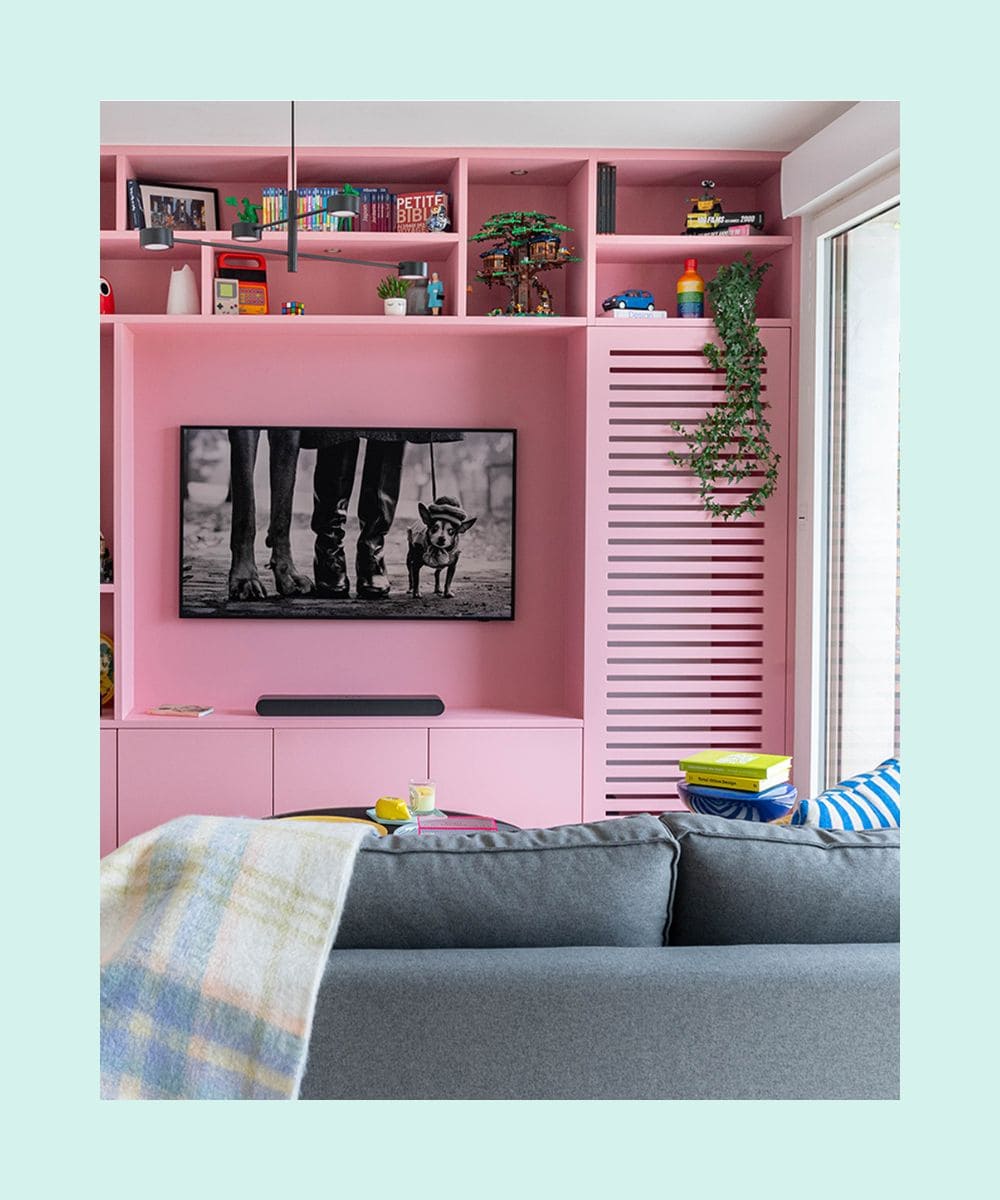 bibliothèque et tv